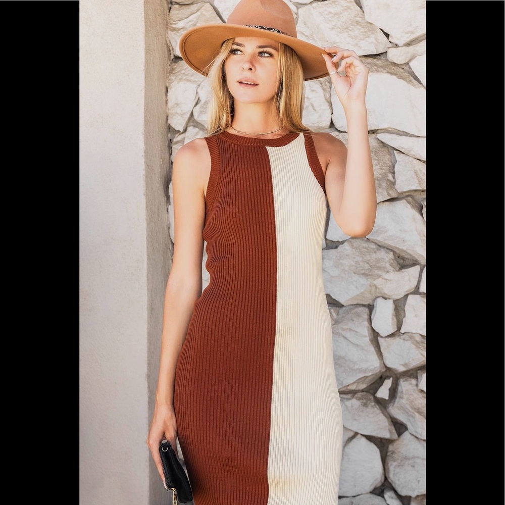 NWT Two tone brown and white body con dress